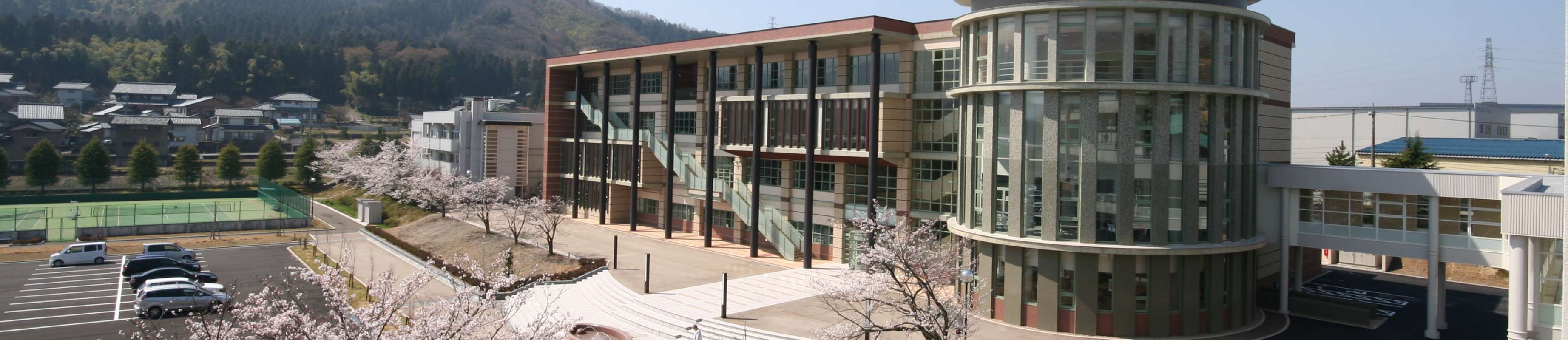 遠くを見つめる学生の写真