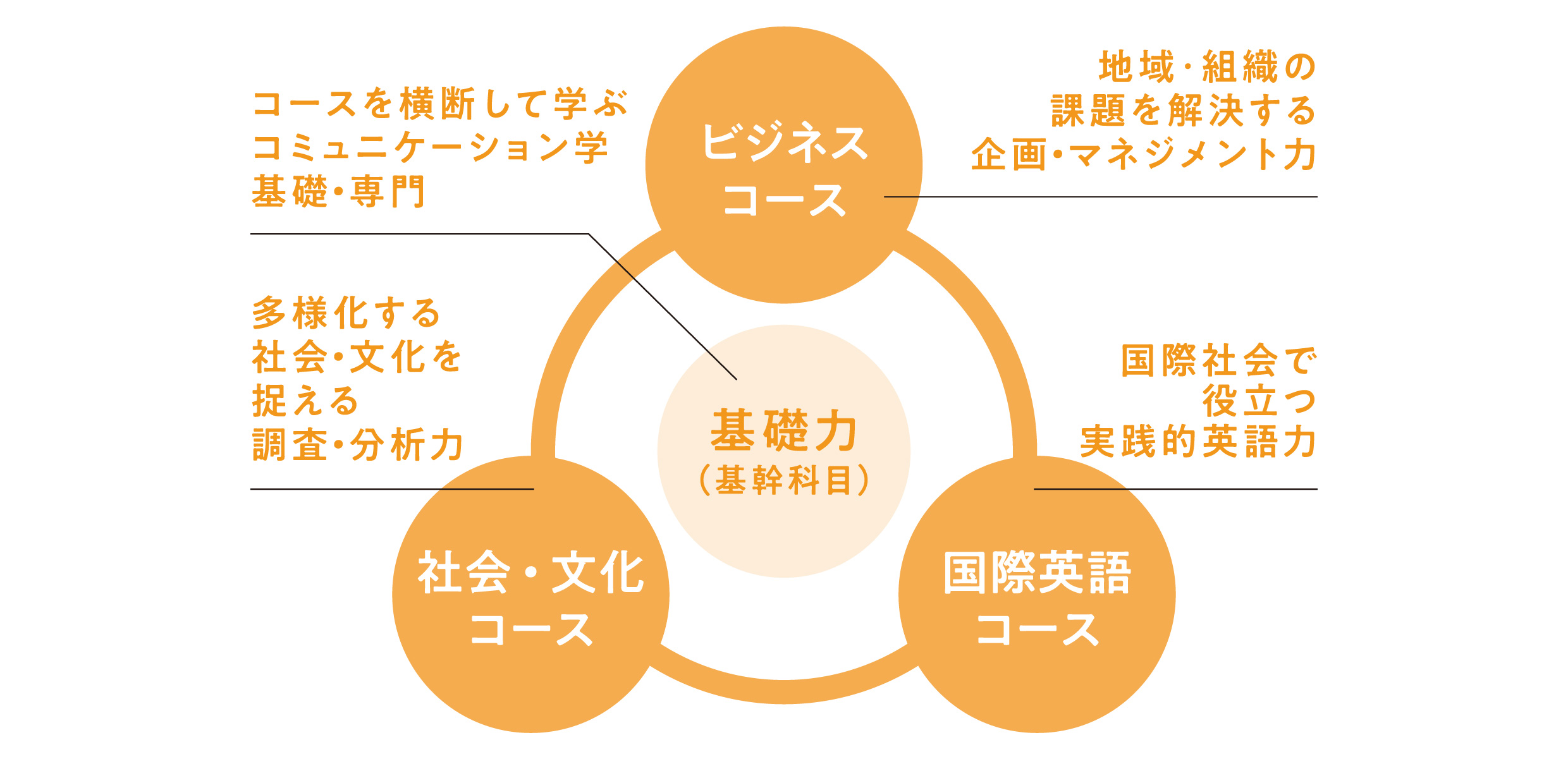 3つの専門コースイメージ図