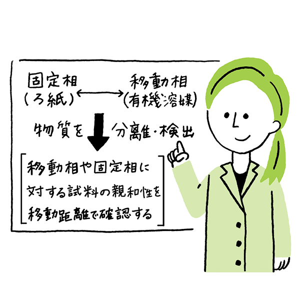 基礎栄養学実験 イメージイラスト