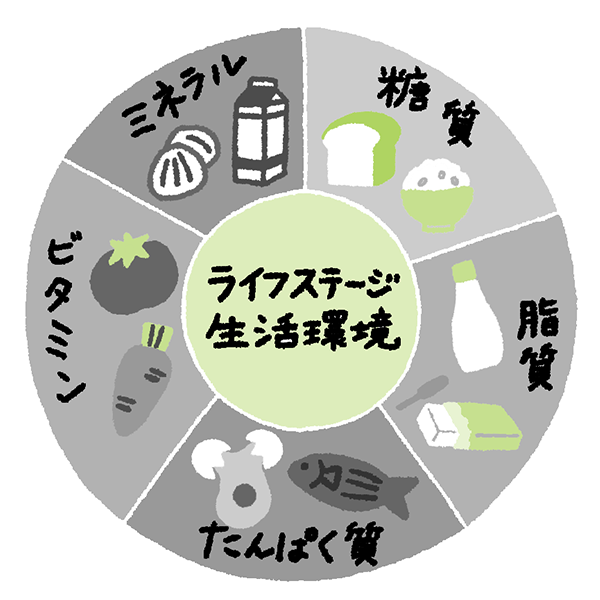 応用栄養学・実習 イメージイラスト