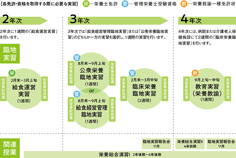 実習スケジュール