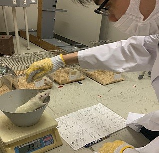 山岸厚仁ゼミイメージ写真02