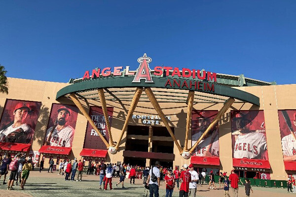 球場外観の写真